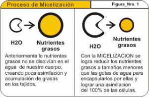 micelizacion